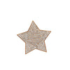 Unisex 14K Rose Gold Star Pendant with 3.83 CT Diamonds